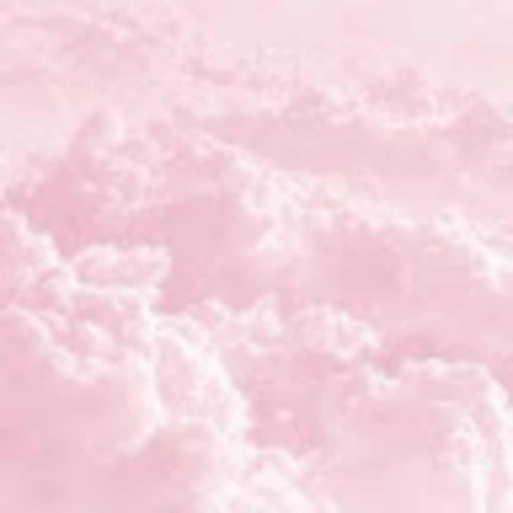 Meet your Posher, Charlotte